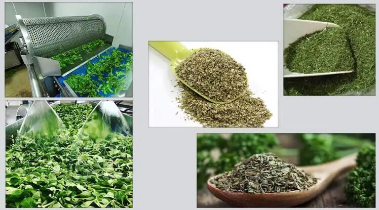 Dried Herbs: A Treasure Trove of Benefits, from Fertile Lands to Global Markets