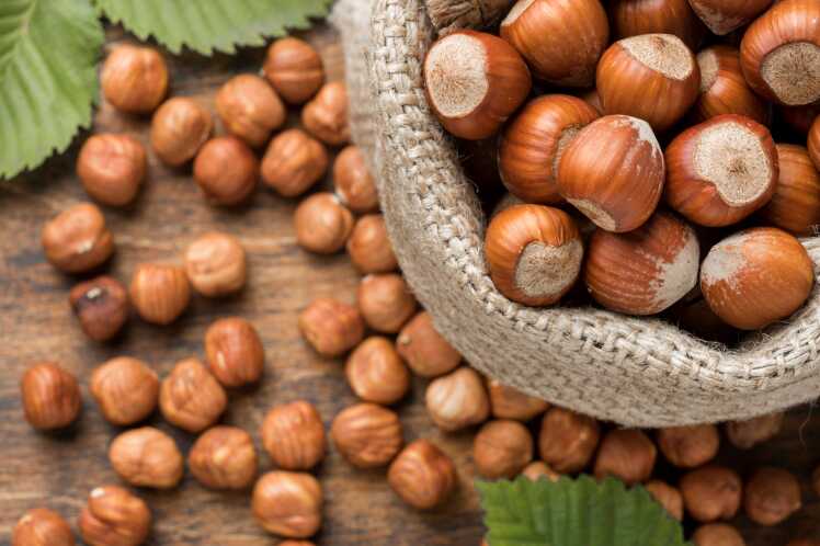 Did You Know That Hazelnuts Are a Nutrient Treasure for Brain Health and Dementia Prevention?