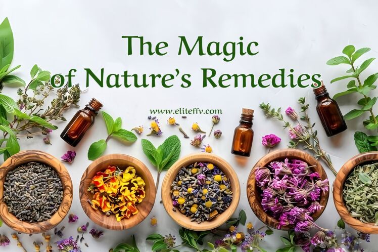 The Secret of Global Health in the Treasure of Iran’s Medicinal Plants
